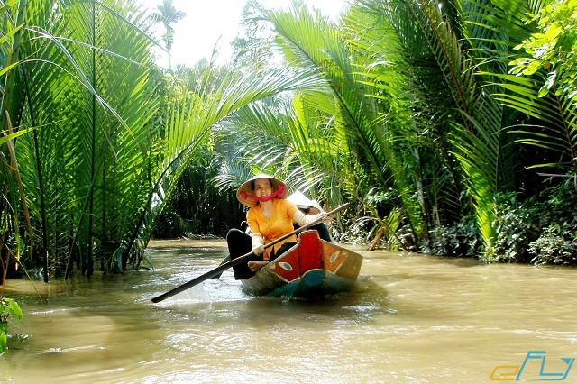kinh nghiệm đi rừng dừa bảy mẫu