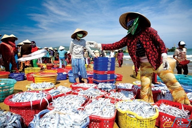 Chợ hải sản ven biển đà nẵng mới đánh bắt lên nên hải sản vô cùng tươi ngon