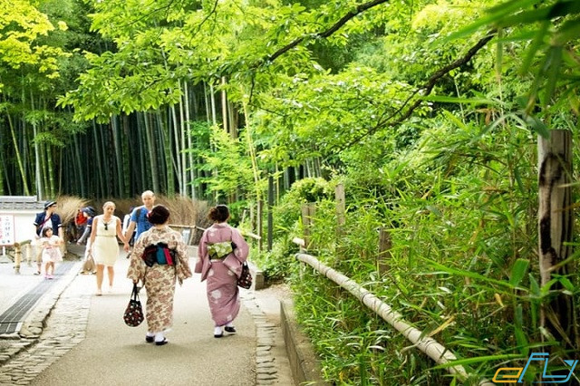 Bỏ túi kinh nghiệm du lịch rừng tre Arashiyama Nhật Bản