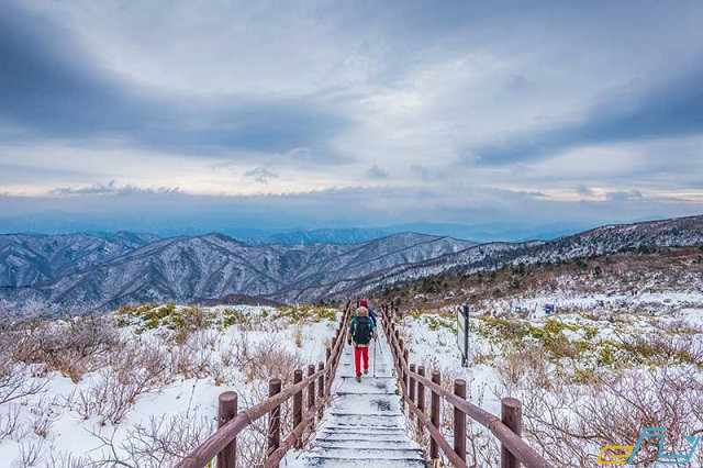 “Bỏ túi” những kinh nghiệm du lịch Hàn Quốc vào mùa đông