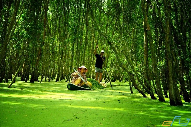 Đi du lịch rừng tràm Trà Sư mùa nào đẹp?