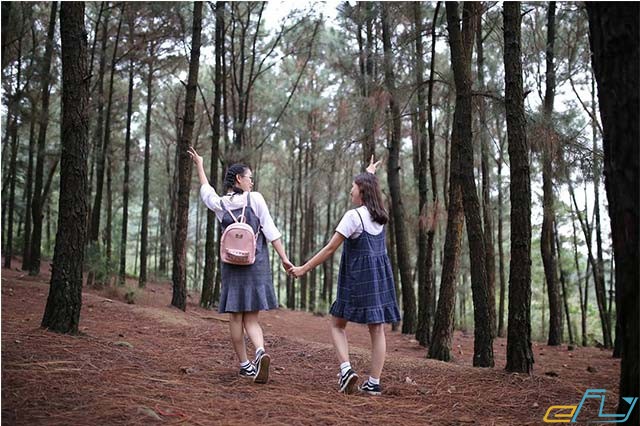 “Đổi gió” với những điểm du lịch gần Hà Nội 2 ngày 1 đêm tuyệt vời