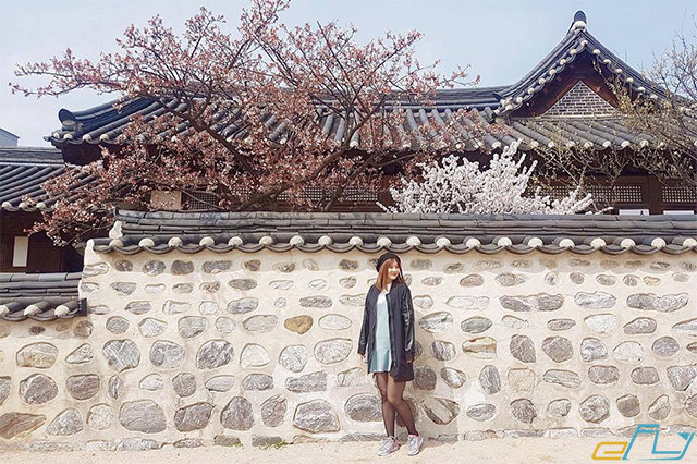 Kinh nghiệm du lịch Hàn Quốc 2018 mới nhất