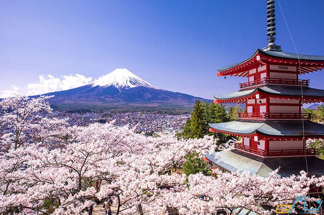 Du lịch Nhật Bản tự túc cần bao nhiêu tiền?
