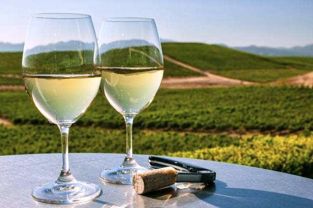 Khám phá những vùng rượu vang hàng đầu ở California