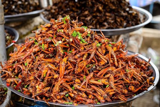 Những quán ăn ngon ở Kon Tum mê mẩn lòng người