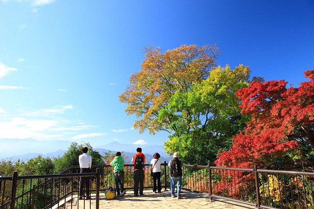 Núi Takao – điểm ngắm lá thu tuyệt vời tại Nhật Bản