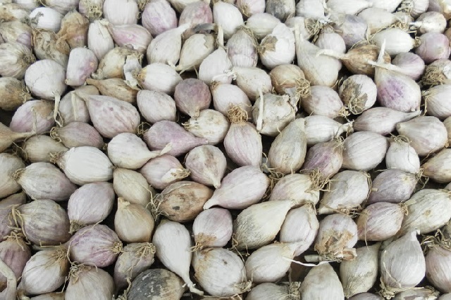 Top đặc sản Sơn La làm quà du khách nào cũng mê