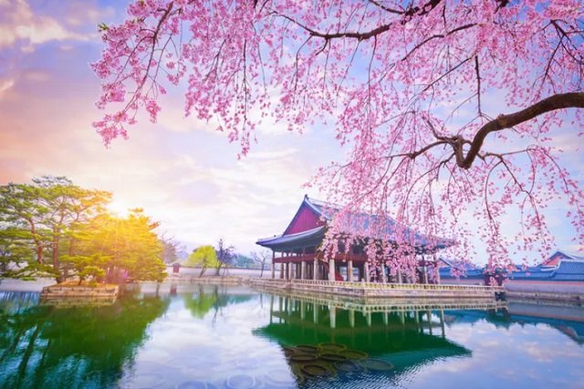 Vé máy bay đi Seoul