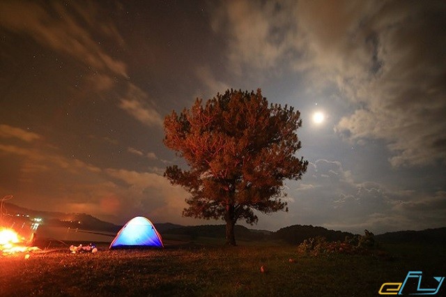 cắm trại bên cây thông cực chất lừ