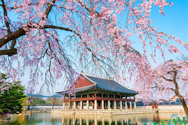 Khám phá những cung điện Hàn Quốc siêu nổi tiếng
