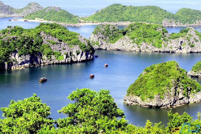 Kinh nghiệm du lịch Cát Bà 2018
