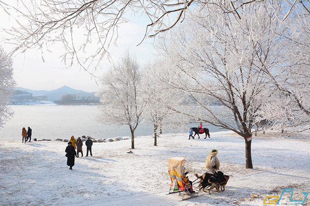 Mùa đông tuyệt đẹp ở Trung Quốc nhất định phải ghé chơi