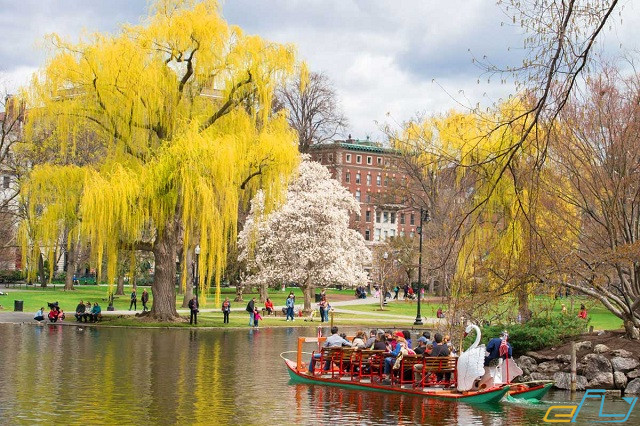Kinh nghiệm du lịch Boston trọn vẹn chuẩn giá rẻ