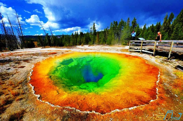 Phá đảo vườn quốc gia Yellowstone ở Mỹ