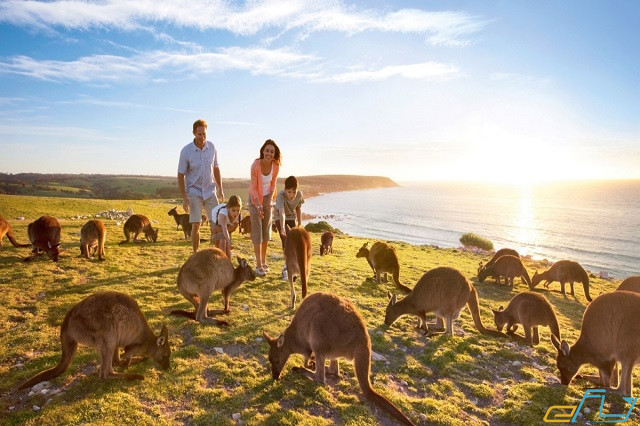 Tổng hợp kinh nghiệm du lịch Úc mùa đông đầy đủ, chi tiết nhất