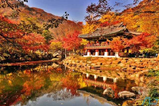 Vườn quốc gia Naejangsan – vườn quốc gia quyến rũ nhất Hàn Quốc về thu